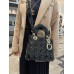 DIor bag shiny