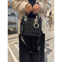DIor bag shiny