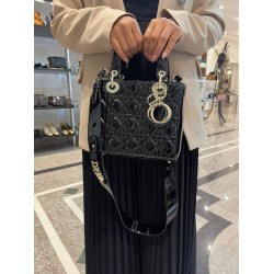 DIor bag shiny