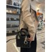 DIor bag shiny