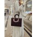 Dior bag L + scarf