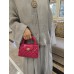 Chanel bag mini