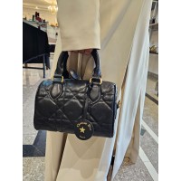 Dior bag small