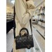 Dior bag small