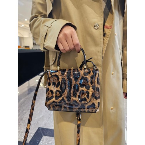 dolce and gabbana bag