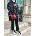 Lady dior 