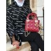 Lady dior 