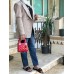 Lady dior 