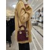 Lady dior s
