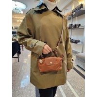 Long champ bag