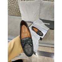 Coach flat
