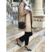 Bottega bag mini
